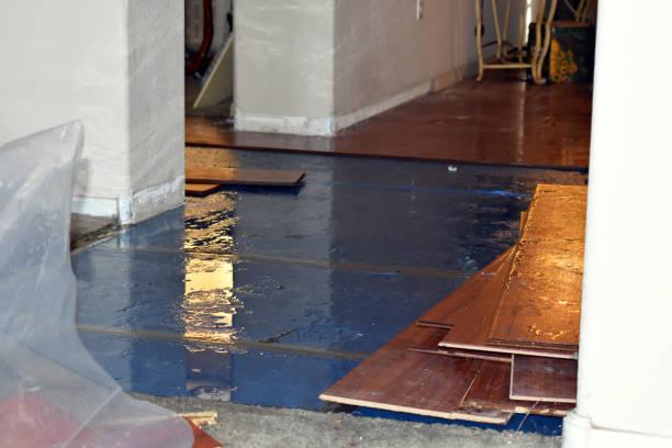 Professional Burst Pipe Cleanup technician working in Somerset, TX